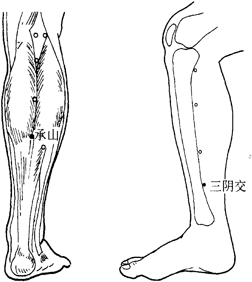 第四十節(jié) 痔